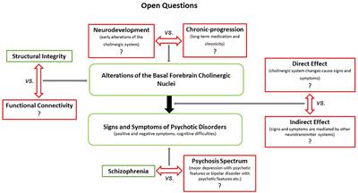 The Basal Forebrain Cholinergic Nuclei and Their Relevance to Schizophrenia and Other Psychotic Disorders